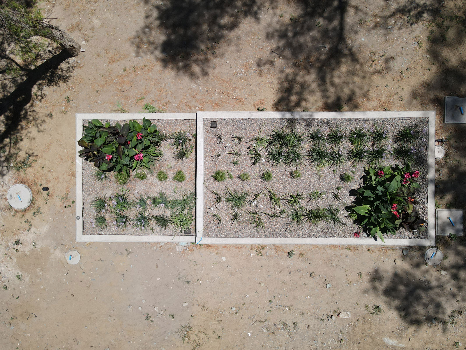 dji_fly_20251104_130506_226_1762275047396_photo